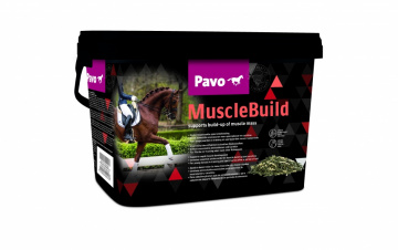 Pavo MuscleBuild 3kg Pavo MuscleBuild 3kg