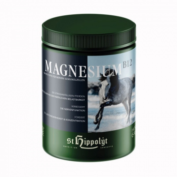 St. Hippolyt Magnesium B12 St. Hippolyt Magnesium B12