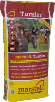 Magnesium Pferd Turnier
