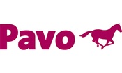 Pavo
